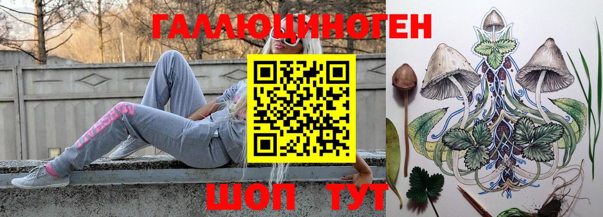 Кизилюрт  Псилоцибиновые грибы GOLDEN TEACHER  Вход с VPN  Галлюциногенные грибы мицелий 